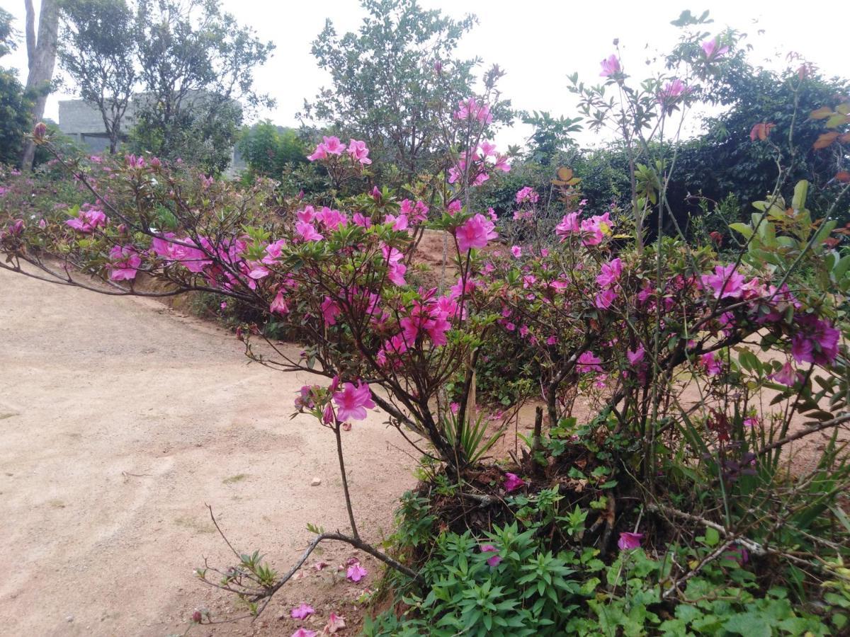 Forest Cyniciam Homestay Ohiya Buitenkant foto