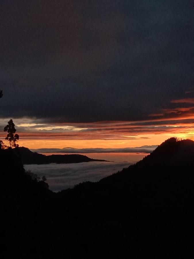 Forest Cyniciam Homestay Ohiya Buitenkant foto