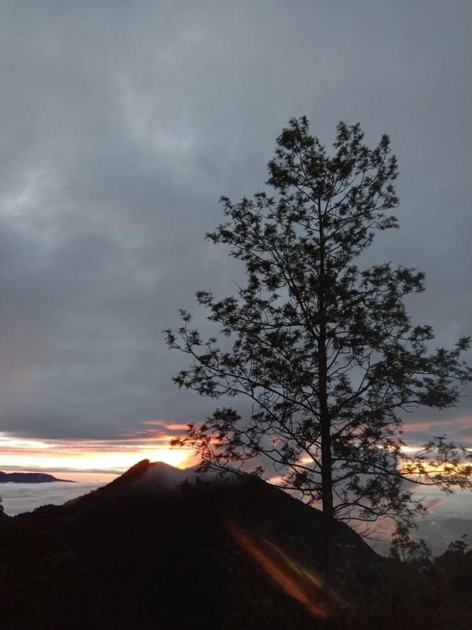 Forest Cyniciam Homestay Ohiya Buitenkant foto