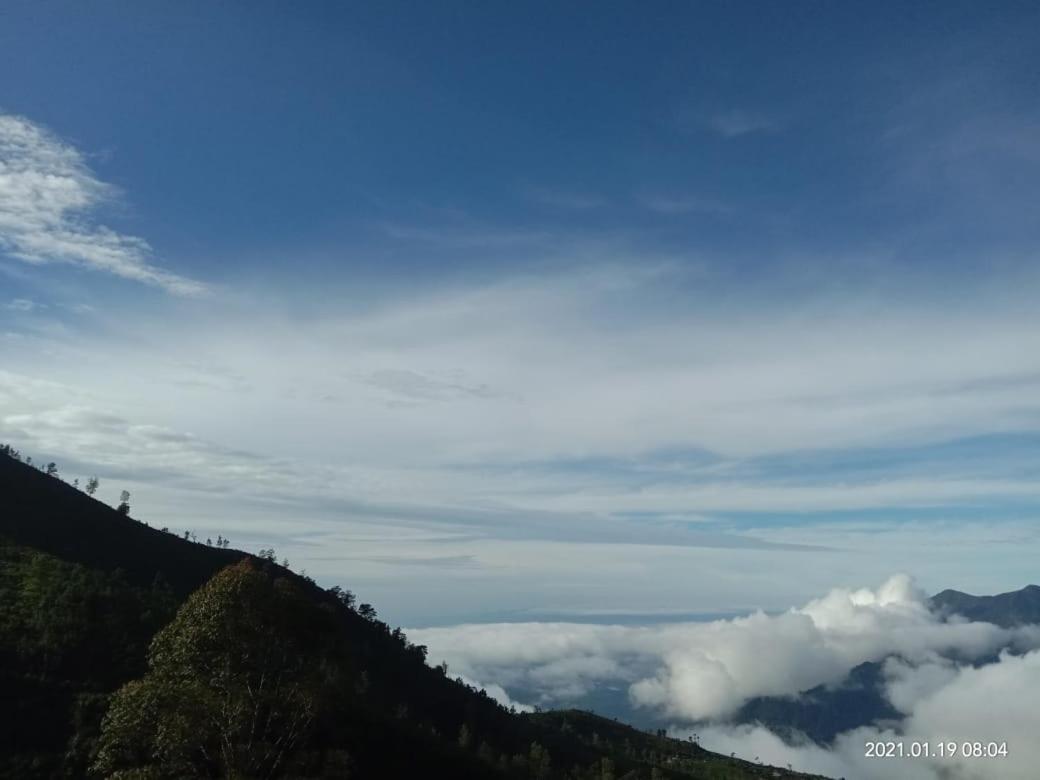 Forest Cyniciam Homestay Ohiya Buitenkant foto