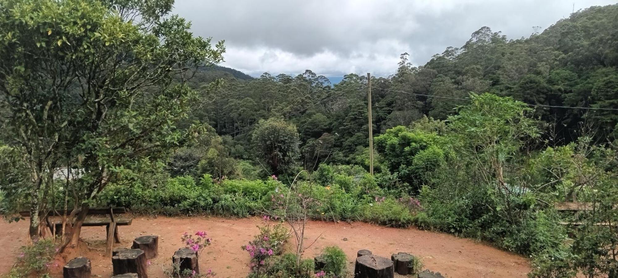 Forest Cyniciam Homestay Ohiya Kamer foto