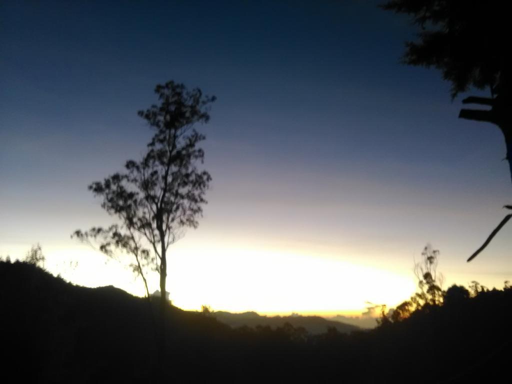 Forest Cyniciam Homestay Ohiya Buitenkant foto