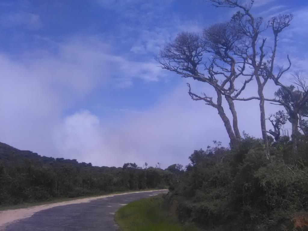 Forest Cyniciam Homestay Ohiya Buitenkant foto
