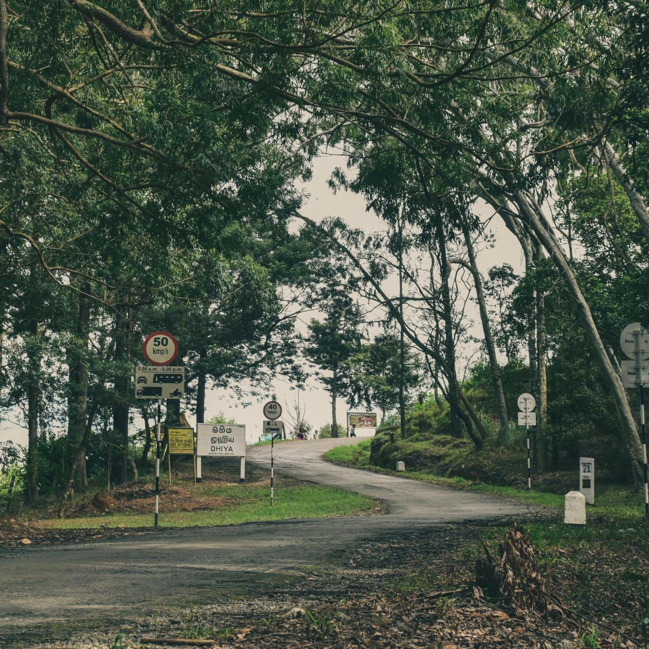 Forest Cyniciam Homestay Ohiya Buitenkant foto