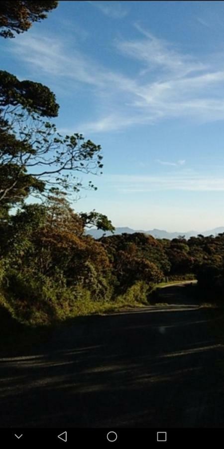 Forest Cyniciam Homestay Ohiya Buitenkant foto
