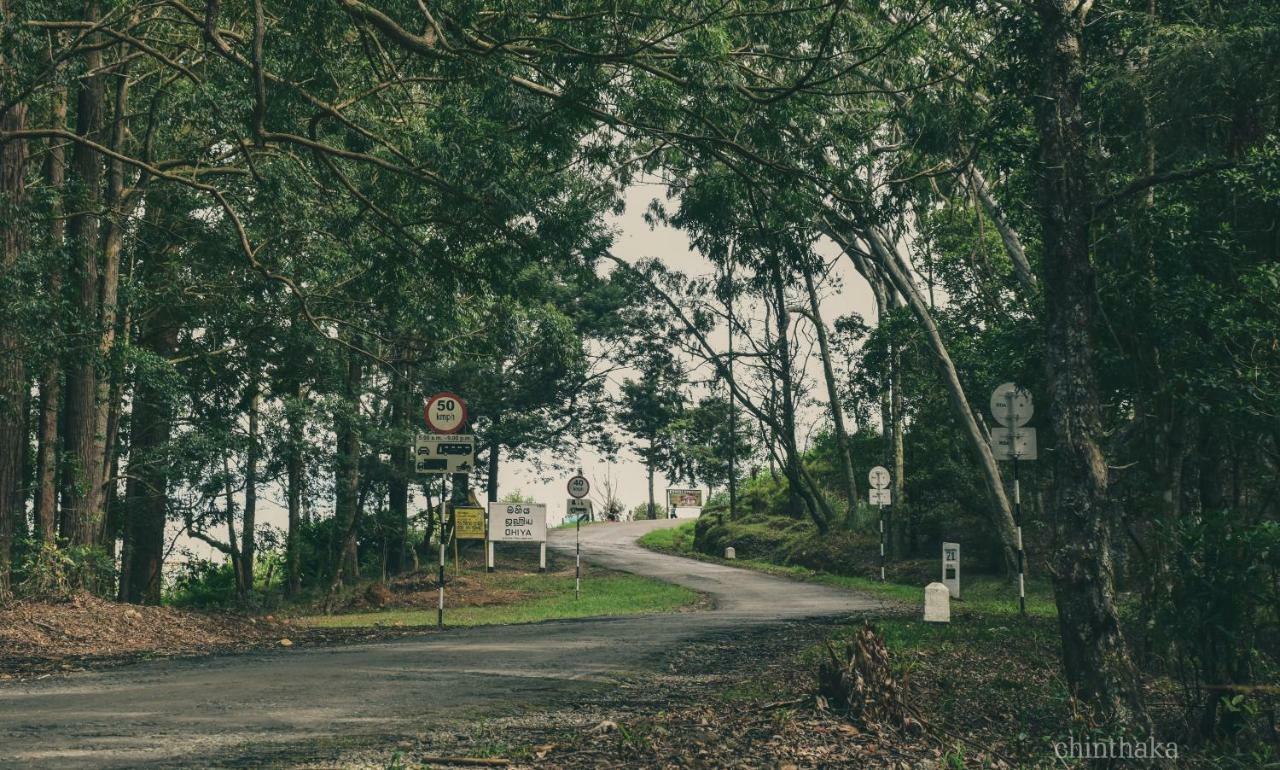 Forest Cyniciam Homestay Ohiya Buitenkant foto